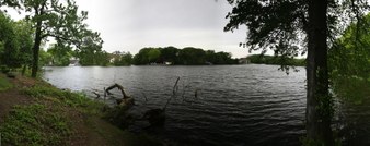 Enlarge photo 43