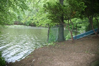 Enlarge photo 44