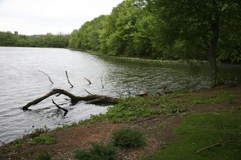 Enlarge photo 45