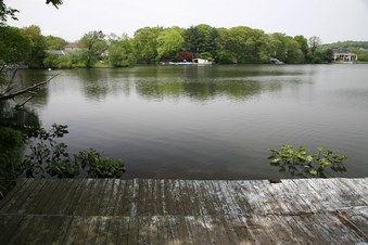 Enlarge photo 6