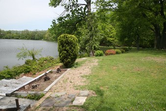 Enlarge photo 7