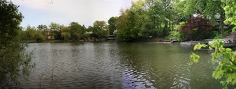 Enlarge photo 30