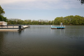 Enlarge photo 31