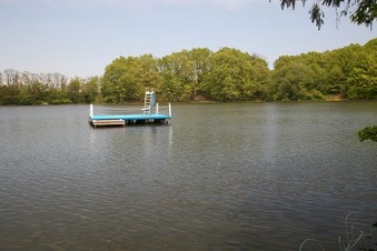 Enlarge photo 33