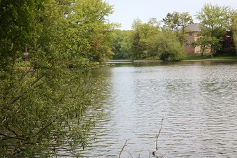 Enlarge photo 34