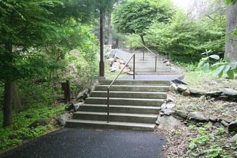 Enlarge photo 26