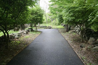 Enlarge photo 28