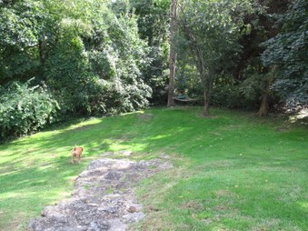 Enlarge photo 3