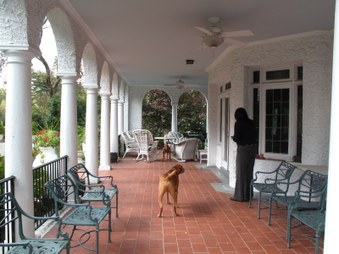 Enlarge photo 6