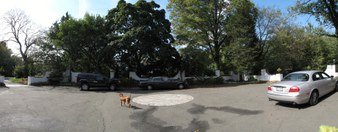 Enlarge photo 11