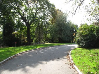 Enlarge photo 22