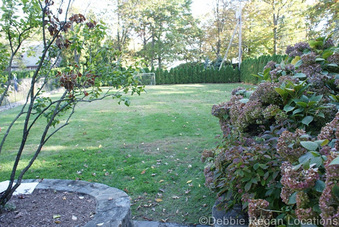 Enlarge photo 63