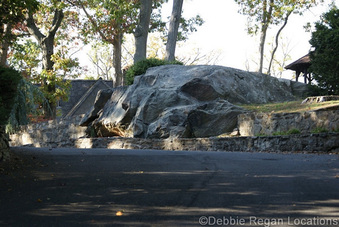 Enlarge photo 68