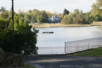 Enlarge photo 69