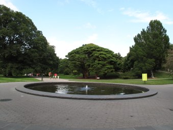 Enlarge photo 24