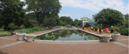 Enlarge photo 43