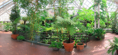 Enlarge photo 50