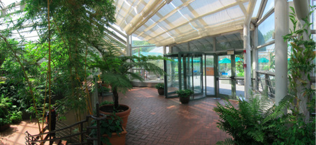 Enlarge photo 51