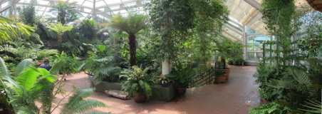 Enlarge photo 52