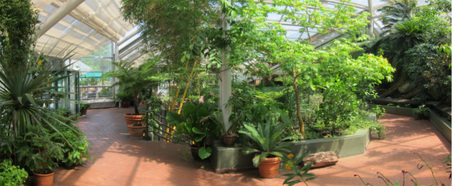Enlarge photo 53