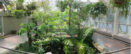 Enlarge photo 56