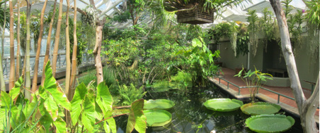 Enlarge photo 57