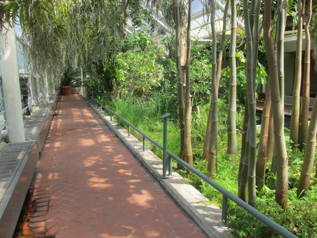 Enlarge photo 58