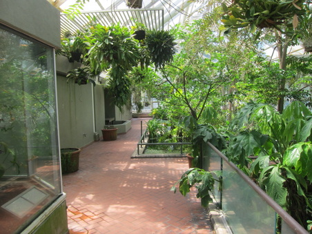 Enlarge photo 59