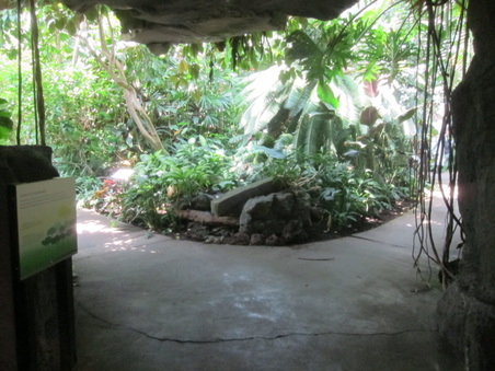 Enlarge photo 69