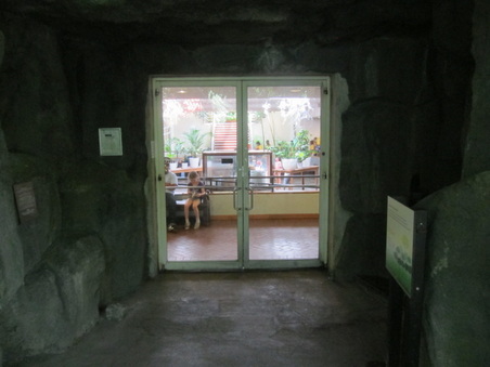 Enlarge photo 70