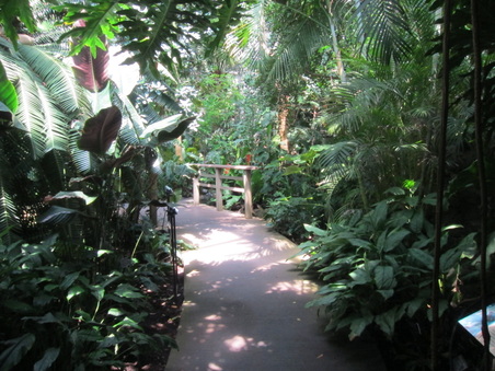 Enlarge photo 71