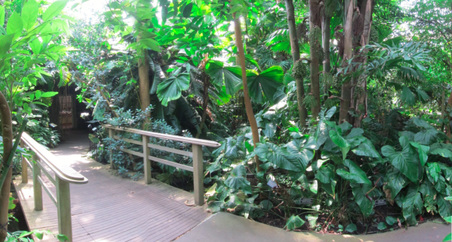 Enlarge photo 72
