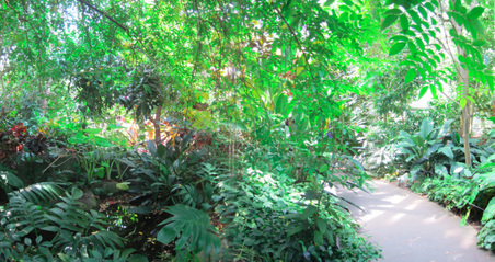 Enlarge photo 76