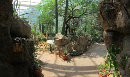 Enlarge photo 80