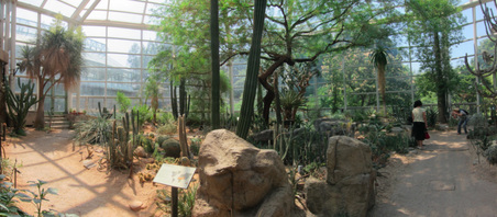 Enlarge photo 82