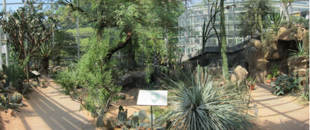 Enlarge photo 84