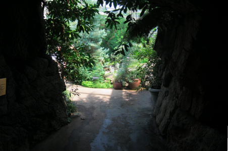 Enlarge photo 87