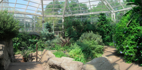 Enlarge photo 90