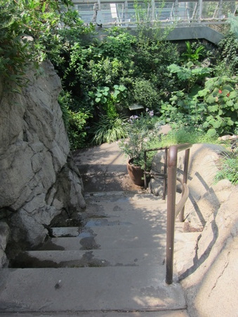 Enlarge photo 93