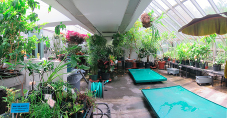 Enlarge photo 31