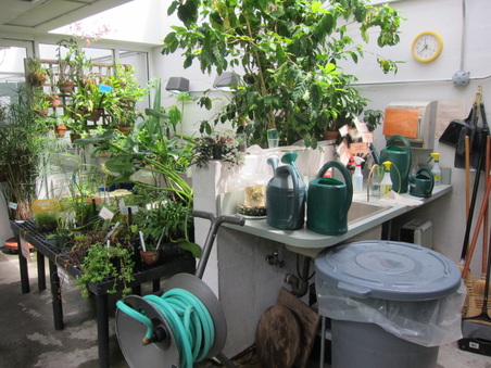 Enlarge photo 32