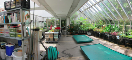 Enlarge photo 34