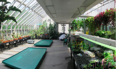 Enlarge photo 35
