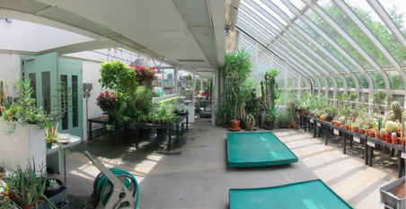 Enlarge photo 36