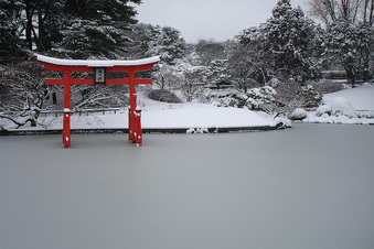 Enlarge photo 11