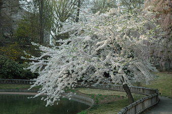 Enlarge photo 10