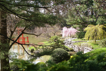 Enlarge photo 7