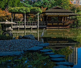 Enlarge photo 4