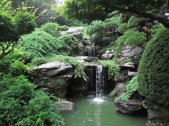 BROOKLYN BOTANICAL GARDEN FOLDER