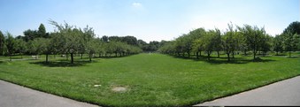 Enlarge photo 23